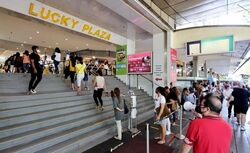 Lucky Plaza (D9), Shop House #618750611
